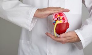 Organ Nakli Olan Nasıl Beslenmeli?