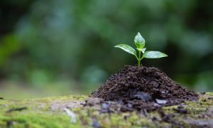 The Importance of Irrigation Pipes in Agriculture