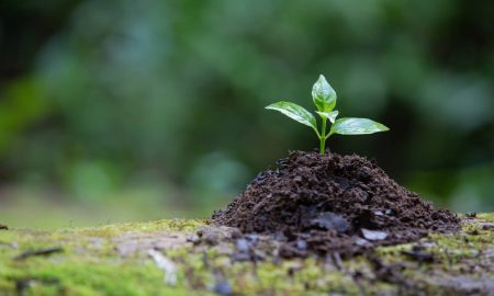 The Importance of Irrigation Pipes in Agriculture