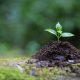 The Importance of Irrigation Pipes in Agriculture