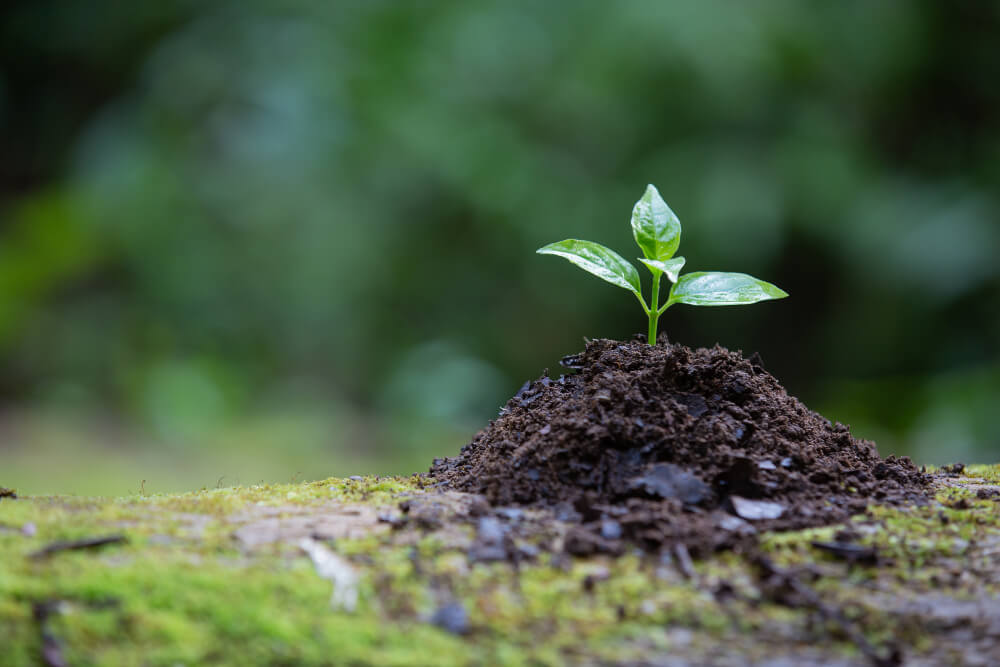 The Importance of Irrigation Pipes in Agriculture