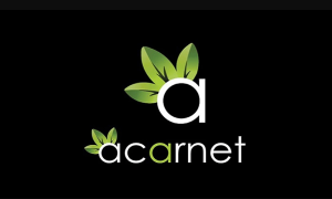 Kurumsal Web Tasarım