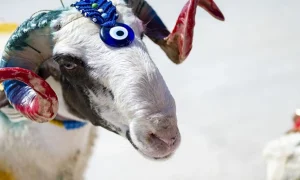 Kurban Bayramı 2026 Ne Zaman?