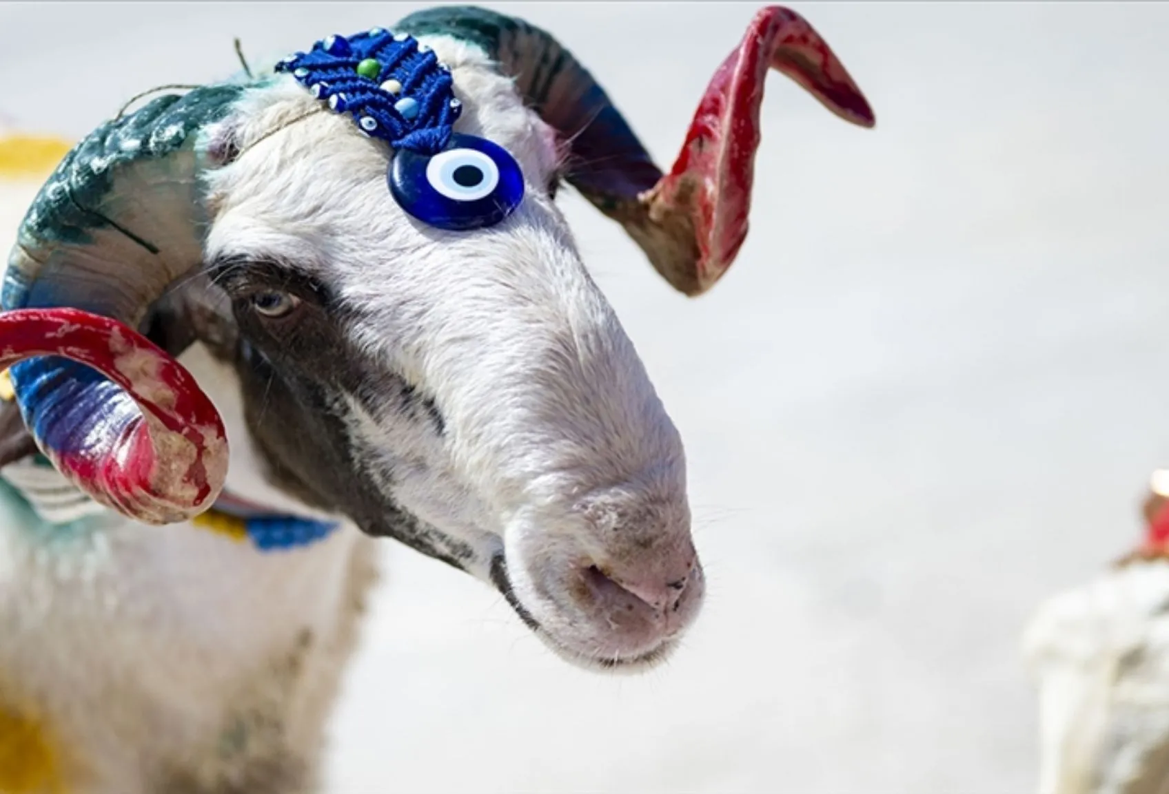 Kurban Bayramı 2026 Ne Zaman?