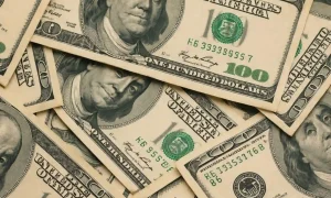 Dolar 45,60 TL Seviyesini Gördü