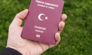 Pasaport Başvurusu Nasıl Yapılır?