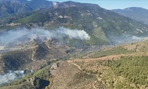 Balıkesir Kazdağları'nda Orman Yangını