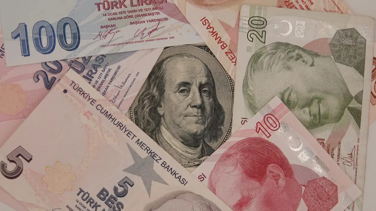 Mevduat ve kredi faizleri için Türk lirası banknotlar